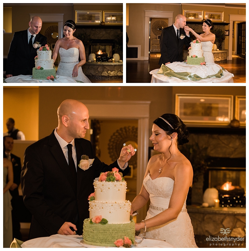 Bride and Groom cut their cake in Buffalo, NY